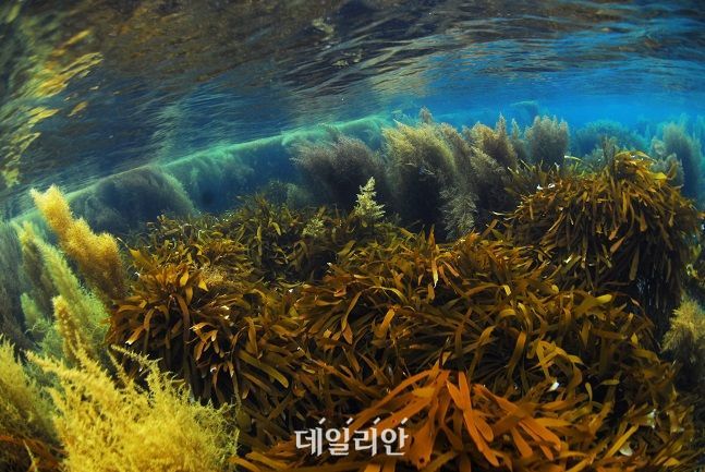 e9275dadaa7494ad07054cf05e80459c_1764346022_2108.jpeg e9275dadaa7494ad07054cf05e80459c_1764346022_2108.jpeg